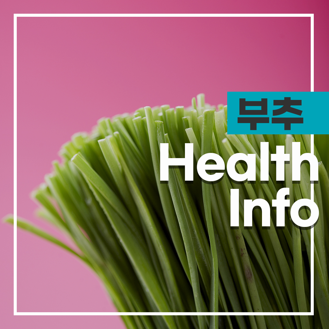 부추 효능 및 영양성분